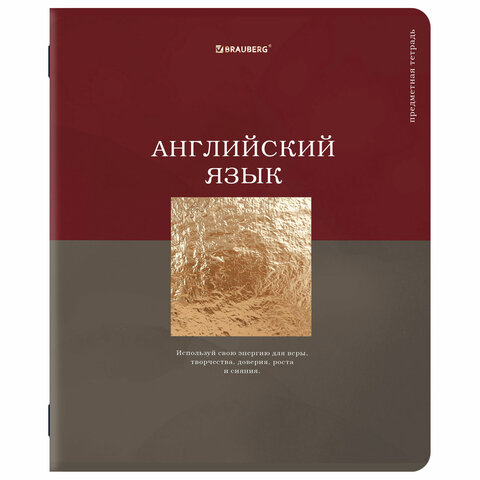 Тетради предметные, КОМПЛЕКТ 12 ПРЕДМЕТОВ, 48 л., матовая ламинация, фольга, BRAUBERG «GOLDY»