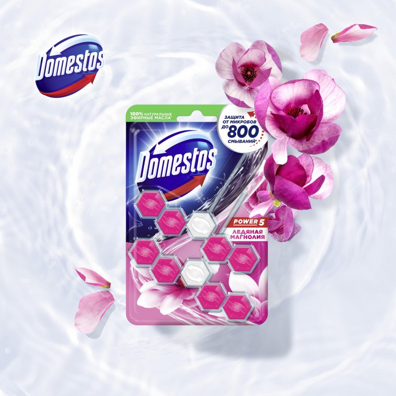 Блок для унитаза гигиенический Domestos Power 5 Duo Ледяная магнолия (2 штуки в упаковке)