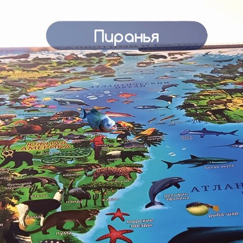 Карта мира «Животный и растительный мир» 101×69 сминтерактивнаяв тубусеЮНЛАНДИЯ112373