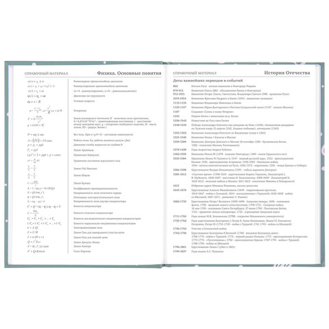 Дневник 5-11 класс 48 л., твердый, BRAUBERG, блестки, с подсказом, «Кактусы»