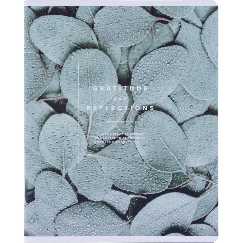 Тетрадь общая, BS, А5, 48л., клетка, скрепка. Botanica, эвк. т рамка N4169