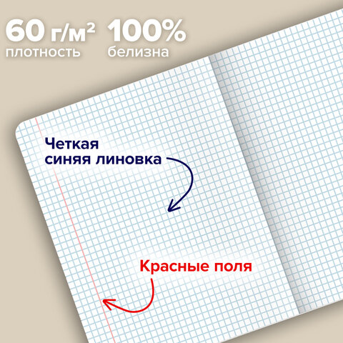 Тетради ДЭК А5 48 л. КОМПЛЕКТ 5 шт. BRAUBERG скоба, клетка, матовая ламинация, MOOD