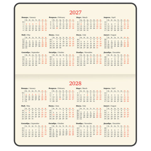 Еженедельник датированный 2027, МАЛЫЙ ФОРМАТ, 105×160 мм, А6, BRAUBERG «Unique», красный