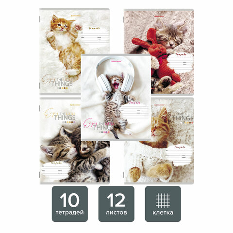 Тетради 12 л. КОМПЛЕКТ 10 шт. BRAUBERG, клетка, обложка картон, ПИТОМЦЫ