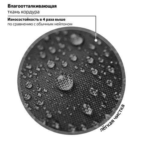 Ранец BRAUBERG PREMIUM, 2 отделения, с брелком, «Venomous spider», 3D панель, 38×29х16 см