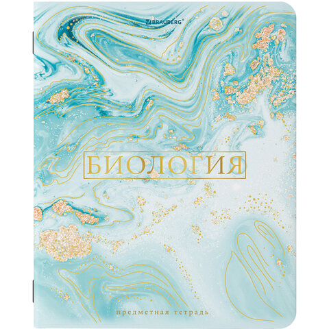 Тетради предметные, КОМПЛЕКТ 10 ПРЕДМЕТОВ, «PASTEL», 48 л., SoftTouch, фольга, 70 г/м2, BRAUBERG