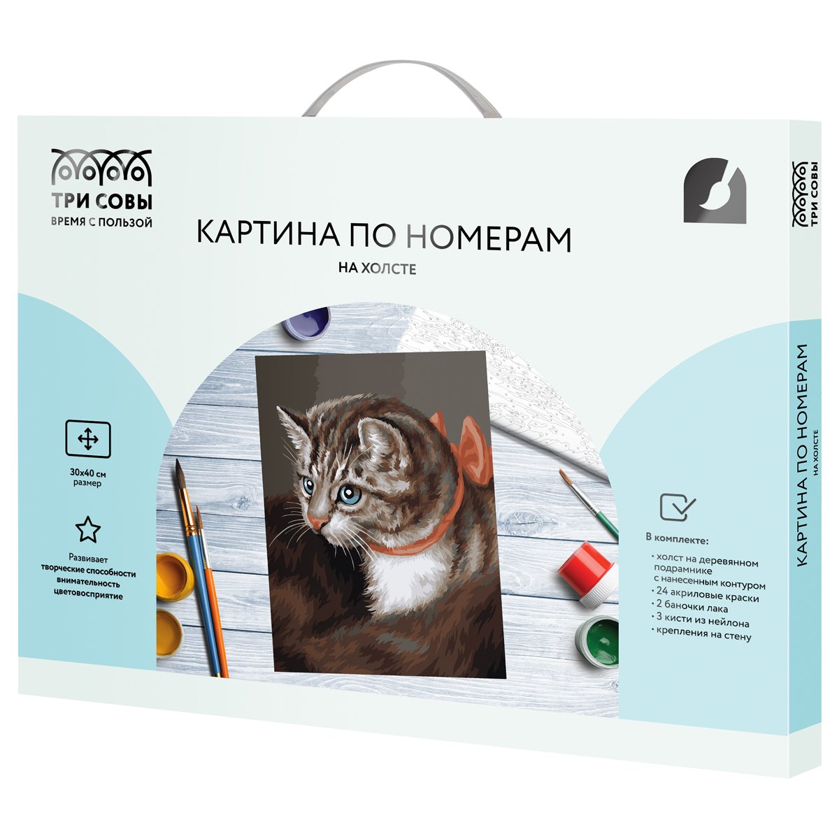 Картина по номерам на холсте ТРИ СОВЫ «Любимая кошка», 30×40, с акриловыми красками и кистями