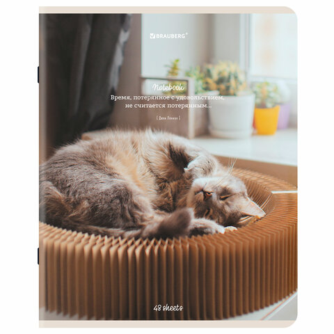 Тетрадь А5, 48 л., BRAUBERG, скоба, клетка, матовая ламинация, «Cats», (микс в спайке)