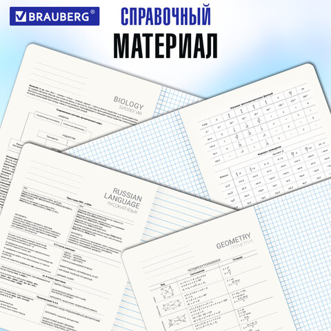 Тетради предметные, КОМПЛЕКТ 12 ПРЕДМЕТОВ, 48 л., глянцевый УФ-лак, BRAUBERG «GLITCH»