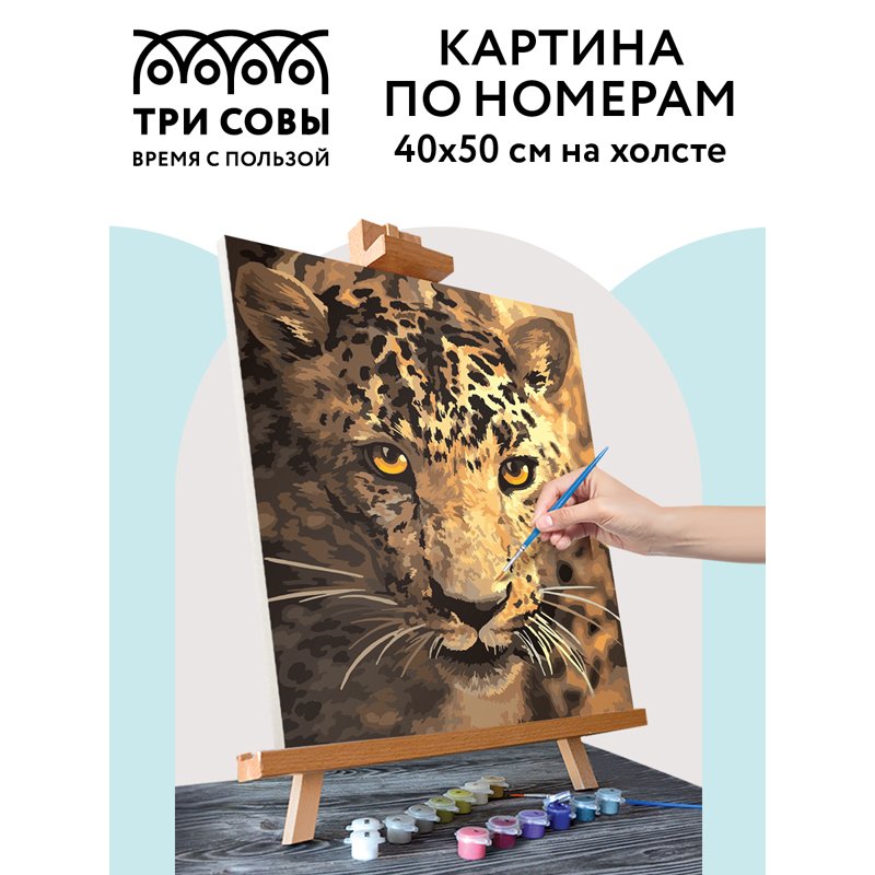 Картина по номерам на холсте ТРИ СОВЫ «Взгляд охотника», 40×50, с акриловыми красками и кистями