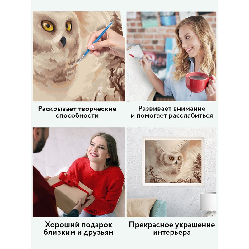 Картина по номерам на холсте ТРИ СОВЫ «Полярная сова», 40×50, с акриловыми красками и кистями