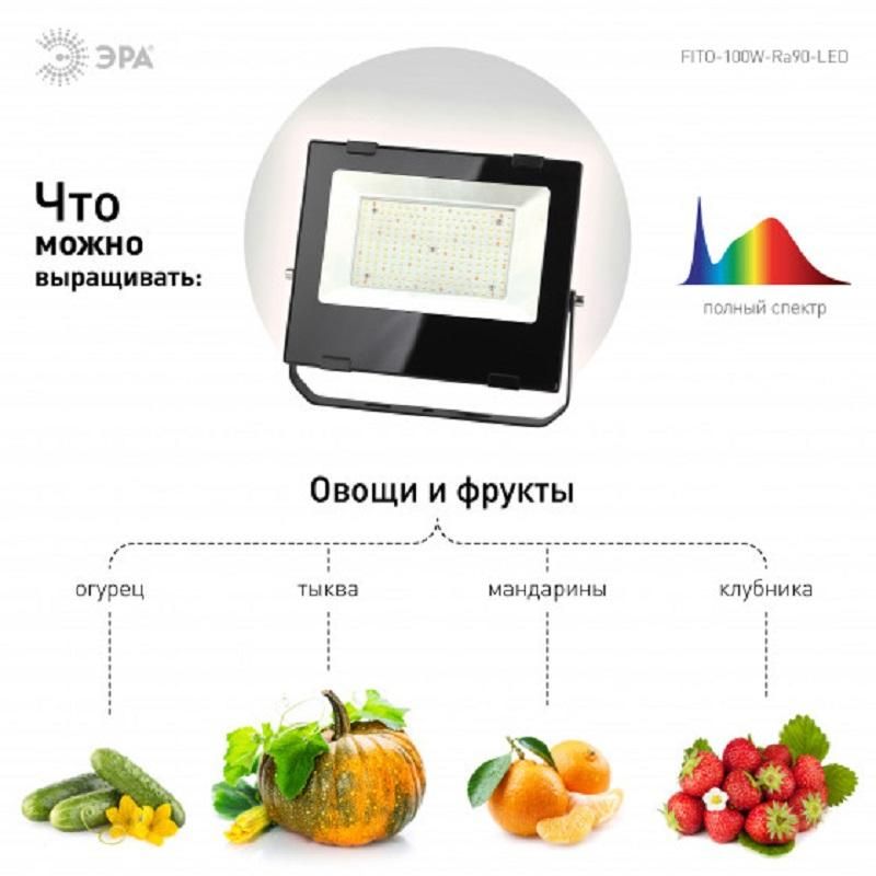 Фитосветильник прожектор для растений ЭРА FITO-100W-Ra90-LED (Б0047876)
