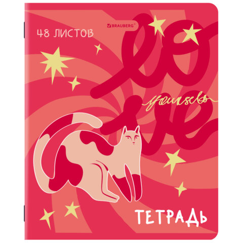 Тетради ДЭК А5 48 л. КОМПЛЕКТ 5 шт. BRAUBERG, скоба, клетка, TWIN-лак, «PINK MOOD»