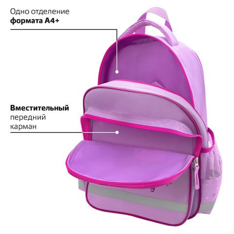 Рюкзак ПИФАГОР SCHOOL, 1 отделение, 3 кармана, «Fluffy akita», 38×28×14 см