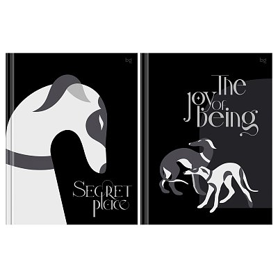 Бизнес-блокнот А5, 80л., BG «Secret place», матовая ламинация, выб. лак