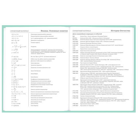 Дневник 5-11 класс 48 л., твердый, BRAUBERG, фольга, с подсказом, «Aspiration»