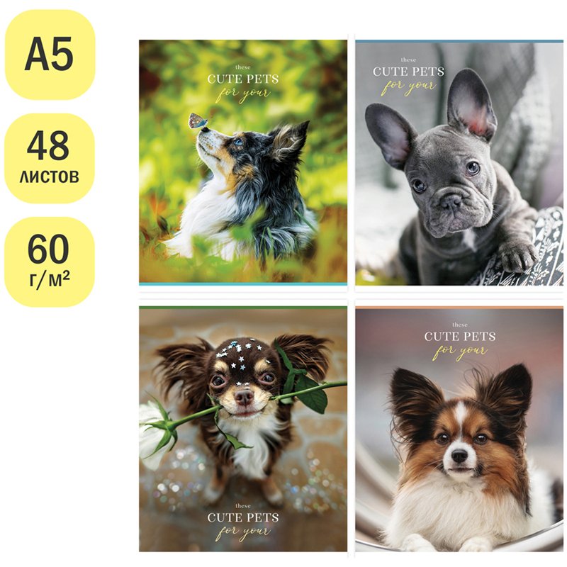 Тетрадь 48л., А5, клетка ArtSpace «Питомцы. Sweet moment», суперэконом