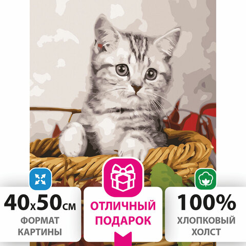 превью Картина по номерам 40×50 см, ОСТРОВ СОКРОВИЩ «Котёнок», на подрамнике, акриловые краски, 3 кисти