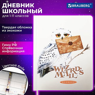 Дневник 1-11 класс 48 л., кожзам (твердая с поролоном), печать, цветной блок, BRAUBERG, «Сова»