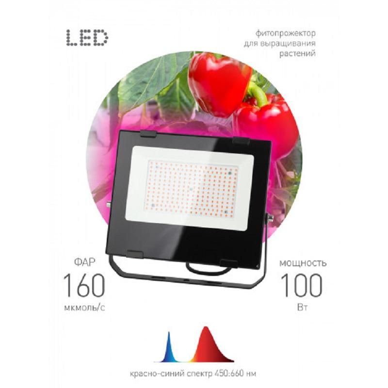 Фитосветильник для растений светодиодный ЭРА FITO-100W-RB-LED (Б0046369)
