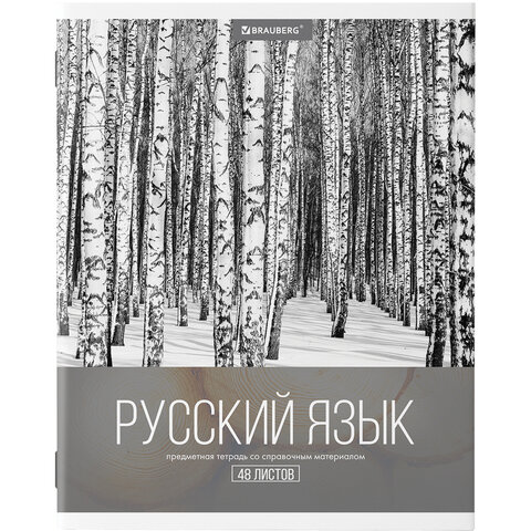 Тетради предметные, КОМПЛЕКТ 10 ПРЕДМЕТОВ, «КЛАССИКА XXI», 48 л., обложка картон, BRAUBERG