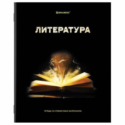 Тетради предметные, КОМПЛЕКТ 12 ПРЕДМЕТОВ, «SHADE», 48 л., глянцевый УФ-лак, BRAUBERG