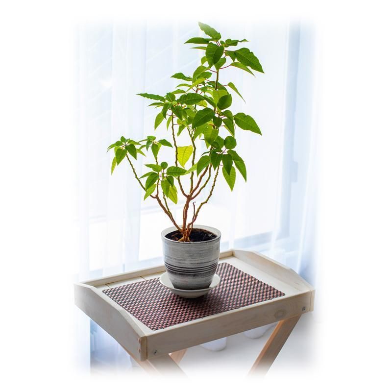 Салфетка Vivacase (VHM-COTM88304501-br) 30×45×0.1 см ПВХ коричневая