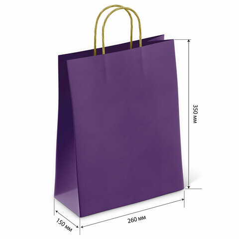 Крафт-пакет бумажный «Dark violet» 26×15х35 см, с кручеными ручками, 80 г/м2, моноцвет