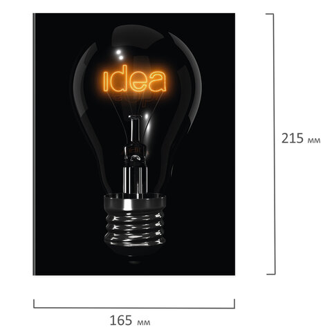 Тетрадь на кольцах А5 175×215 мм, 160 л., твердый картон, клетка, BRAUBERG, «Idea»