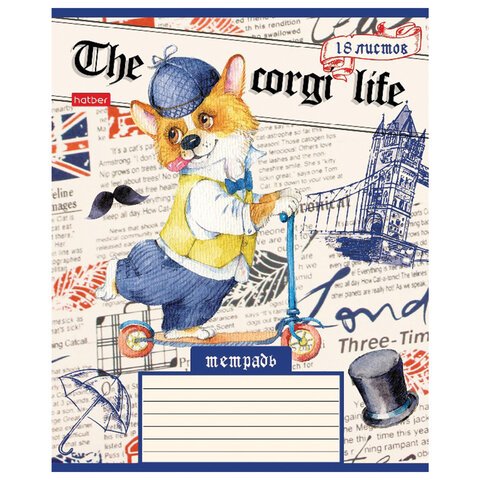 Тетрадь 18 л. HATBER клетка, обложка картон, «Корги_LIFE» (5 видов в спайке)
