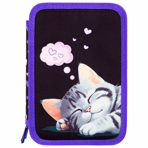 Пенал BRAUBERG, 3 отделения, полиэстер, 21×14 см, «Sleeping kitten»