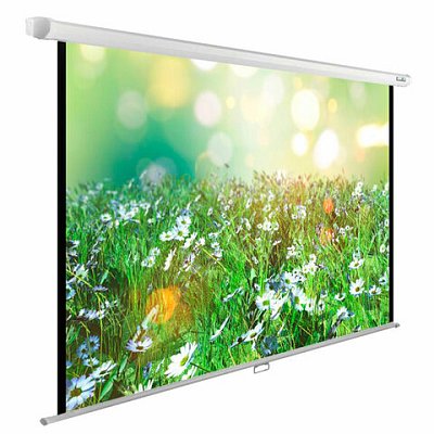 Экран Cactus WallExpert CS-PSWE-200×200-WT, 200×200 см, 1:1, настенно-потолочный, белый