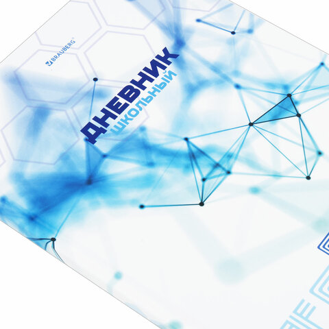 Дневник 1-11 класс 40 л., твердый, BRAUBERG, глянцевая ламинация, «Internet»