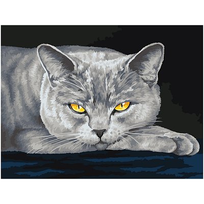 Картина по номерам на холсте ТРИ СОВЫ «Серый кот», 30×40, с акриловыми красками и кистями