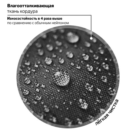 Ранец BRAUBERG SHINY, 2 отделения, с брелком, «Savage lion», светящийся рисунок, 38×28х14 см