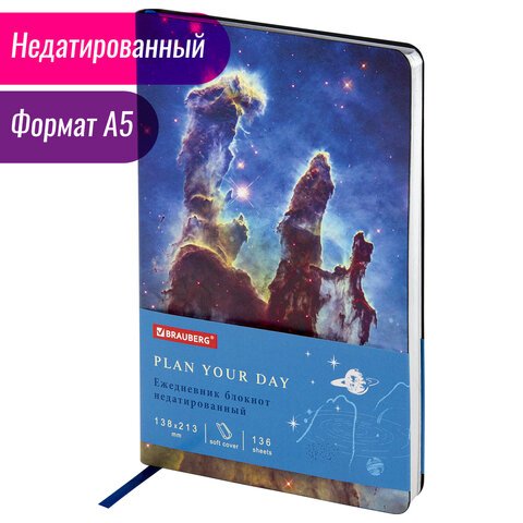 Ежедневник недатированный А5 (138×213мм), BRAUBERG_Серия_2наз4, гибкий, 136л, кожзам, 