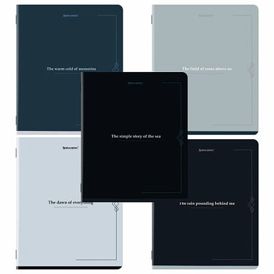 Тетрадь А5, 48 л., BRAUBERG, скоба, клетка, SoftTouch, «Vintage», (микс в спайке)