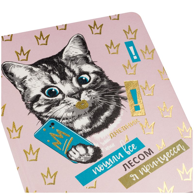 Дневник 1-11 кл. 48л. ЛАЙТ BG «Я принцесса! », иск. кожа, печать, блестки, ляссе
