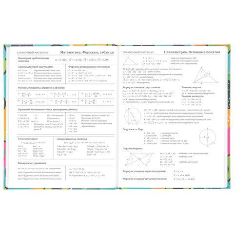 Дневник 5-11 класс 48 л., твердый, BRAUBERG, блестки, с подсказом, «Avocado»