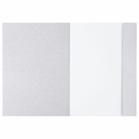 Папка для рисования А4, 20 л., 160 г/м2, BRAUBERG, 210×297 мм, «Орел»