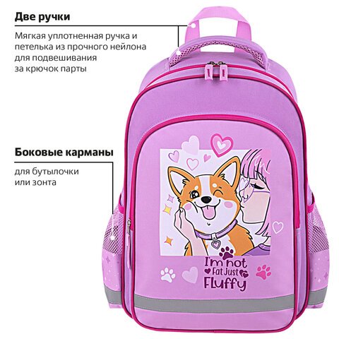 Рюкзак ПИФАГОР SCHOOL, 1 отделение, 3 кармана, «Fluffy akita», 38×28×14 см