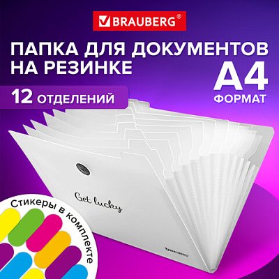 Папка-органайзер на резинке 12 отделений, BRAUBERG «Glassy», А4, прозрачная