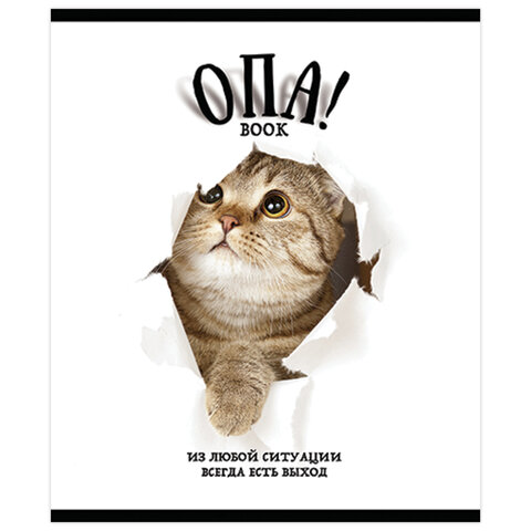 Тетрадь А5, 48 л., ПЗБМ, скоба, клетка, выборочный TWIN лак, «ОПА! » (5 видов), 028664