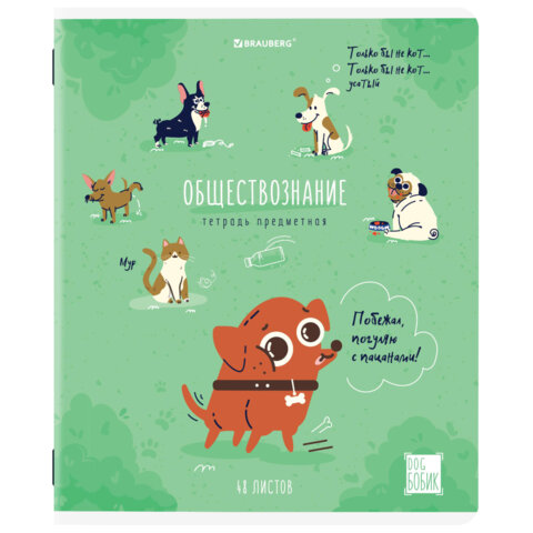 Тетради предметные, КОМПЛЕКТ 12 ПРЕДМЕТОВ, 48 л., TWIN-лак, BRAUBERG, «DOG БОБИК»