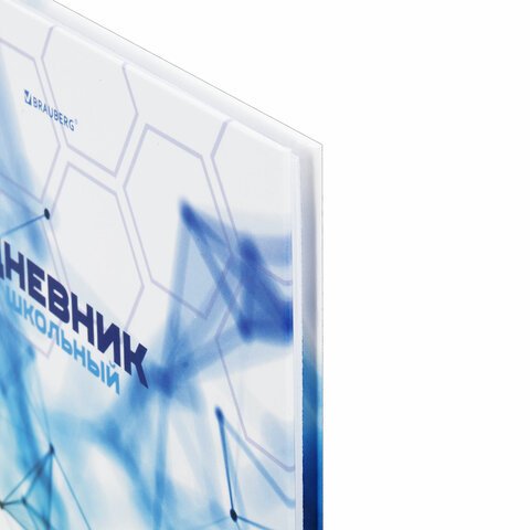 Дневник 1-11 класс 40 л., твердый, BRAUBERG, глянцевая ламинация, «Internet»