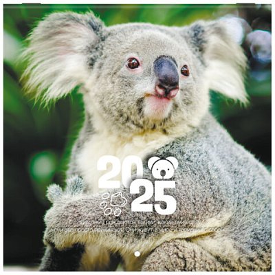 Календарь настенный перекидной на 2025 г., BRAUBERG, 12 листов, 22.5×22.5 см, МИНИ, «Дикие животные»