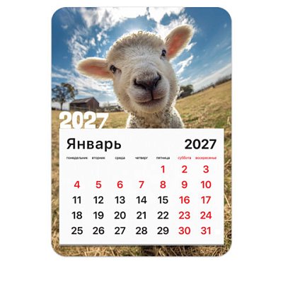 Календарь отрывной на магните на 2027 г., BRAUBERG, 130×180 мм, склейка, «Символ года»