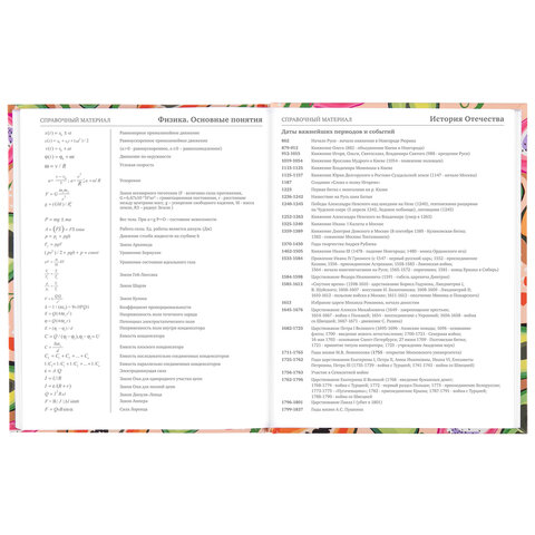 Дневник 5-11 класс 48 л., твердый, BRAUBERG, глянцевая ламинация, с подсказом, «Fruits»