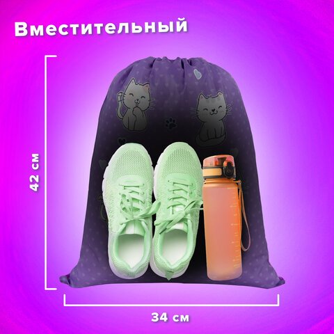 Мешок для обуви BRAUBERG KIDS, с петлей, 42×34 см, «Playing kittens»