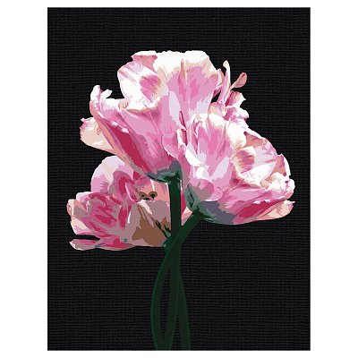 Картина по номерам на черном холсте ТРИ СОВЫ «Розовые цветы», 30×40, c акриловыми красками и кистями